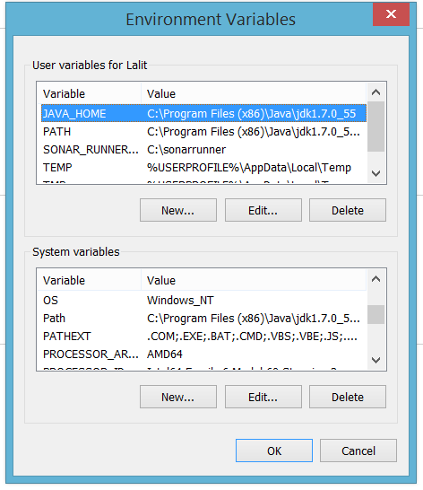 Setting JAVA_HOME and PATH environment variables